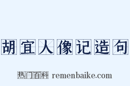 胡宜人像记造句是什么意思的图片